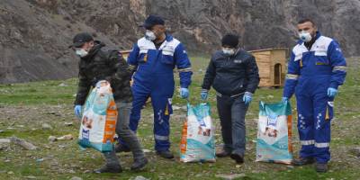 Hakkari Belediyesi Veteriner İşleri Müdürlüğü ekipleri sokak hayvanları emin ellerde