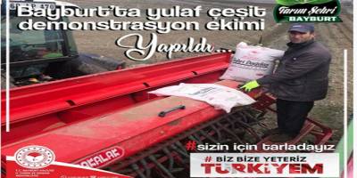 Yulaf çeşit demonstrasyon ekimi yapıldı