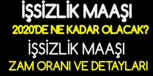 İşsizlik maaşı 2020'de ne kadar oldu? İşsizlik maaşı zam oranı ve detayları