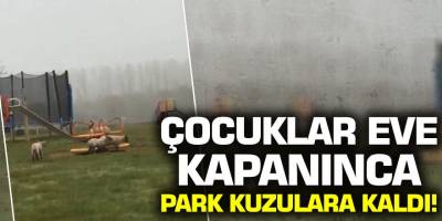 Korona virüs nedeniyle İngiltere'de çocuklar eve kapanınca park kuzulara kaldı