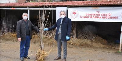 Gümüşhane’de sokağa çıkma yasağı olan çiftçilerin fidanları evlerine götürüldü