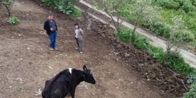 Kaybolan hayvanını gazeteciler yardımıyla drone ile buldu
