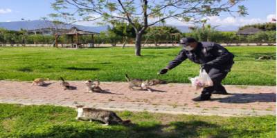 Kumluca İlçe Emniyet Polisleri, sokakta yaşayan sahipsiz kedilere yiyecek bıraktı