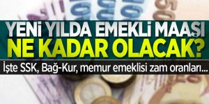 Emekli maaşlarına ne kadar, kaç TL zam yapılacak? Ocak maaşları belli oluyor!