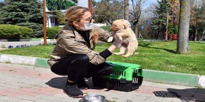 Bursa'da can dostlara iş dünyasından destek