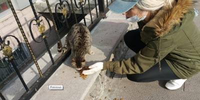 Ardahan'da Sokak hayvanlarına Çıldırlı bayanlar sahip çıktı