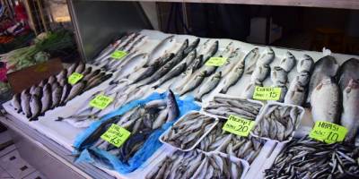 Balıkçı esnafının zor günleri Balık fiyatları uygun fakat satışlar zayıf