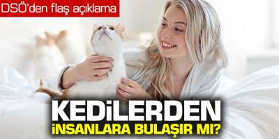 DSÖ'den flaş açıklma! Korona virüsü kedilerden insanlara bulaşır mı?