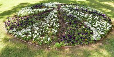 Dokumapark alanına eklen mevsimlik çiçekler açtı.