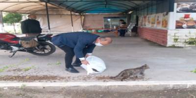 Muğla Ortaca’da sokak hayvanları aç ve susuz kalmıyor