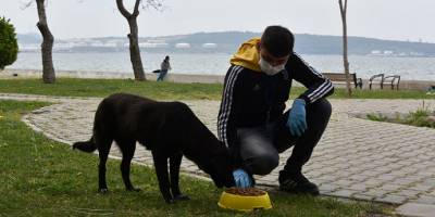 İzmir Aliağa Belediyesinden can dostlar için seferberlik