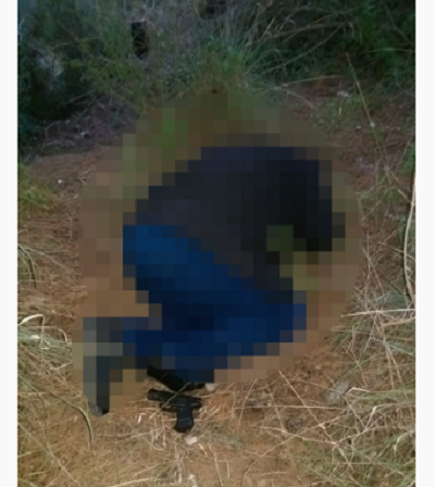 -033.png