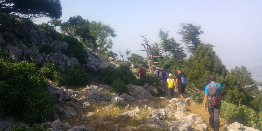 01-037.jpg